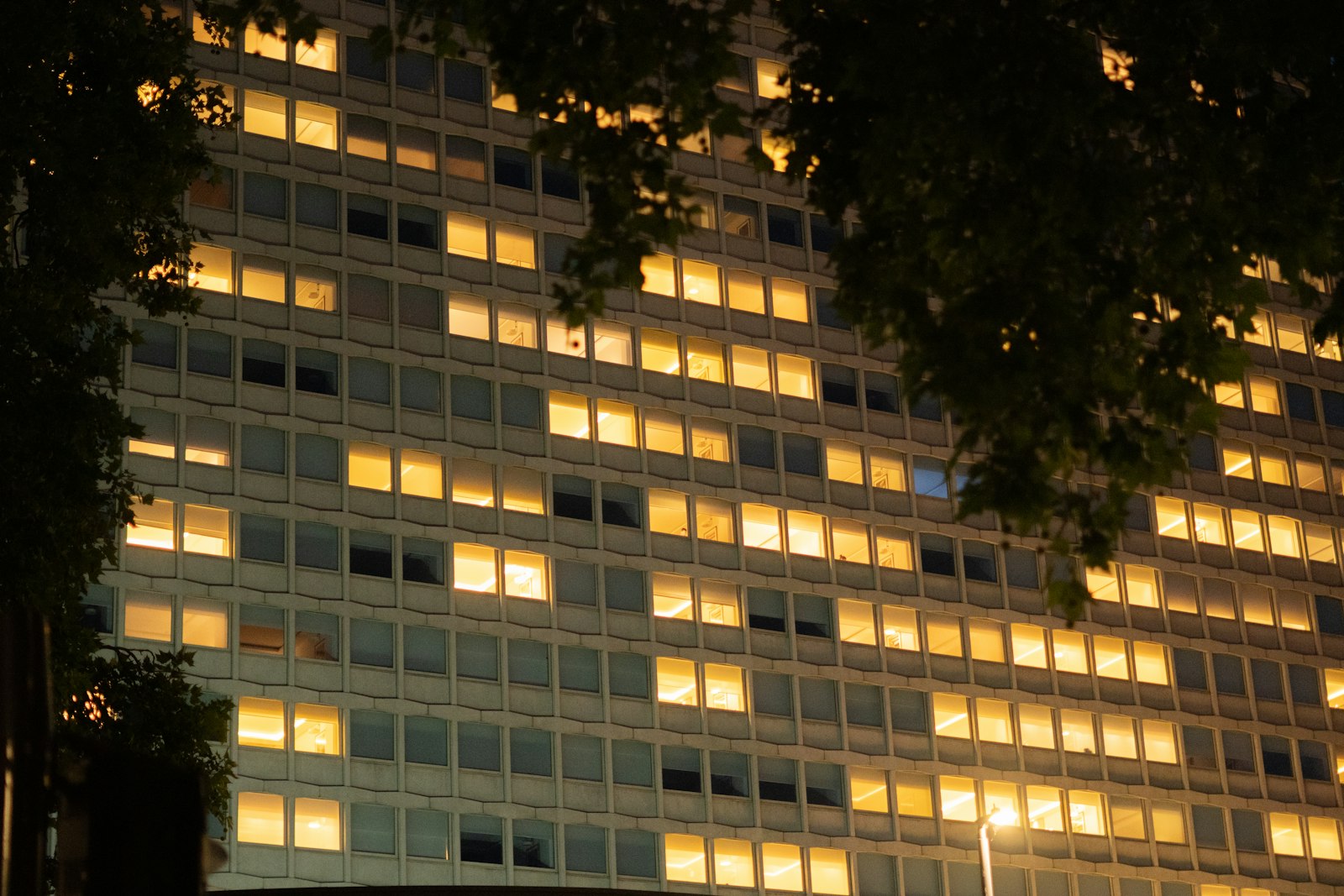 Office building lit at night while cleaning takes place after hours