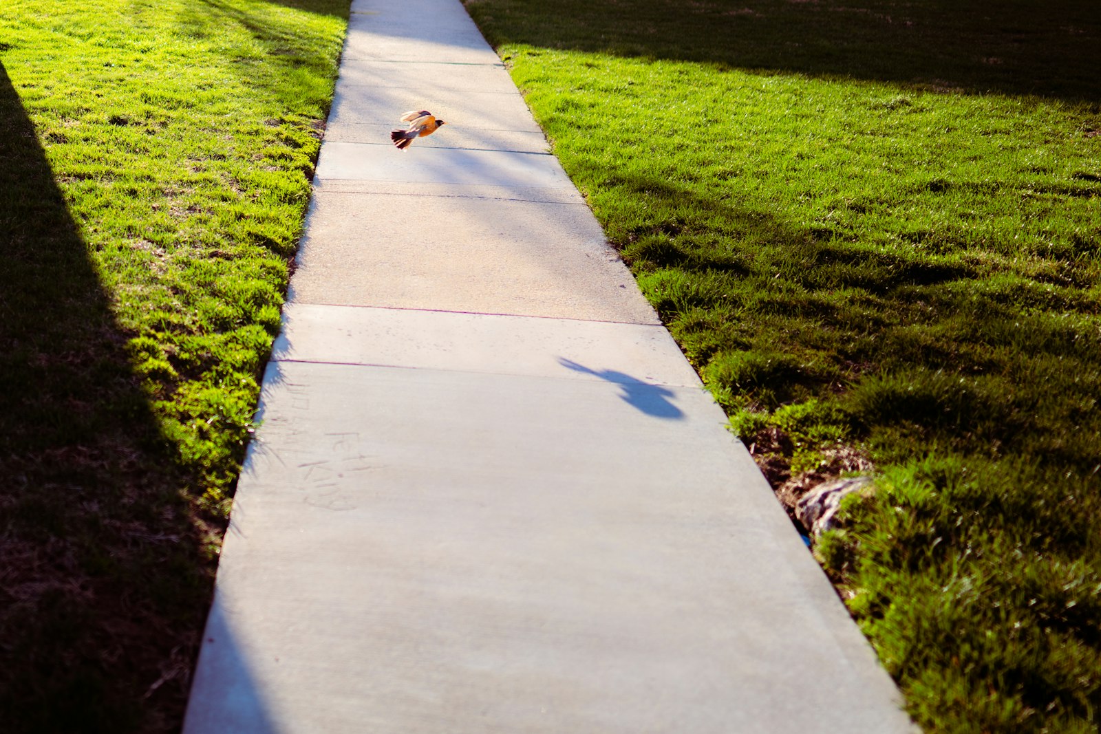 Concrete path and entranceway ready for exterior cleaning