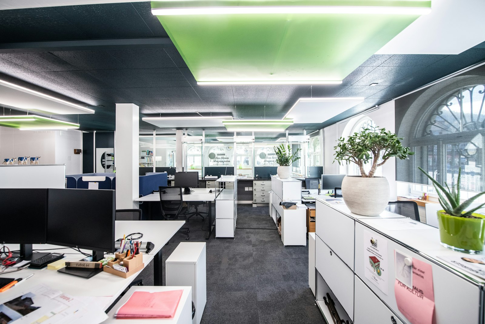 Modern office interior with planting