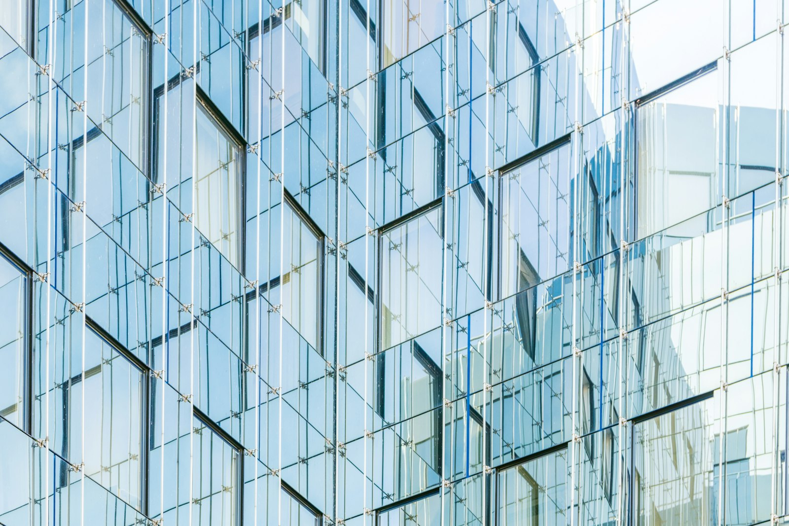 Glass facade of a Wellington commercial building